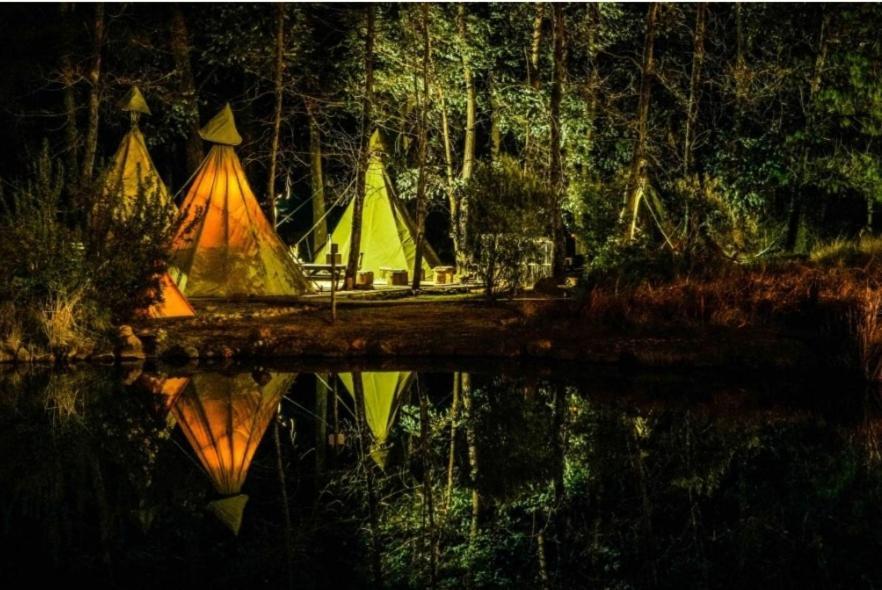 מלון אונדרברג Nguni Moon Tepee Camp מראה חיצוני תמונה