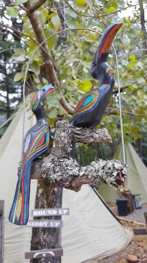 מלון אונדרברג Nguni Moon Tepee Camp מראה חיצוני תמונה