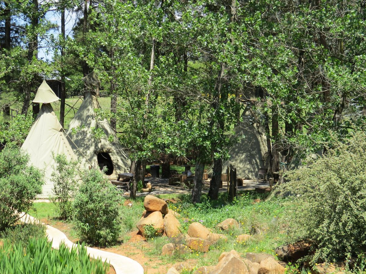 מלון אונדרברג Nguni Moon Tepee Camp מראה חיצוני תמונה
